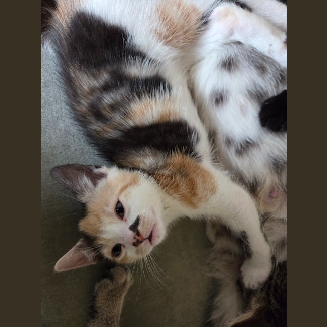 Photo of Sophie