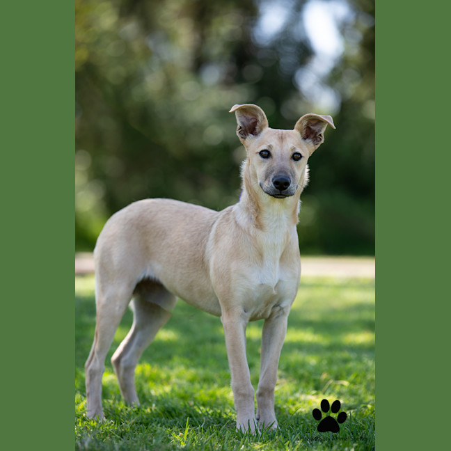Photo of Winnie