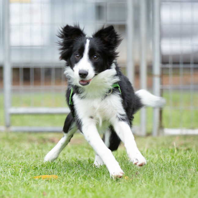 Photo of Rubee