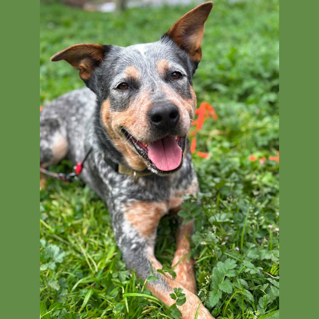 Photo of Wally 