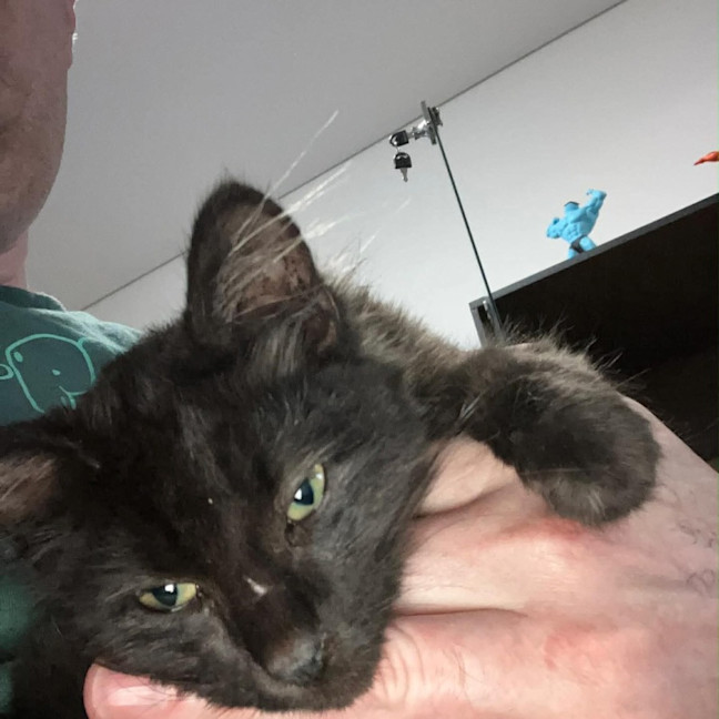 Photo of Lucky