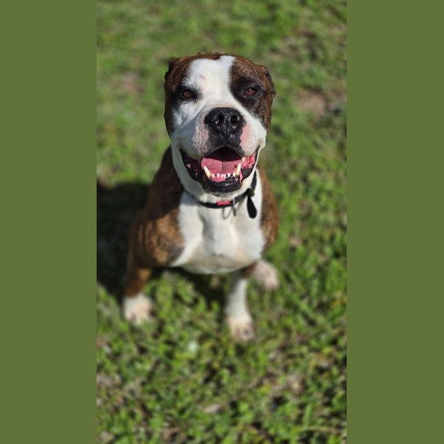 Photo of Tank
