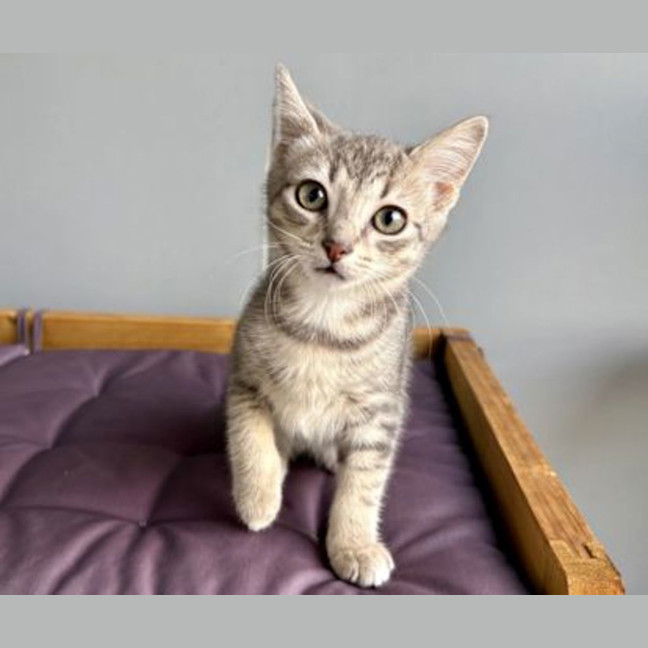 Photo of Solly
