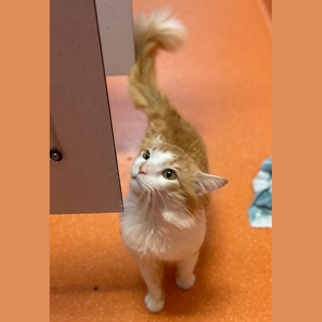 Photo of Bingo