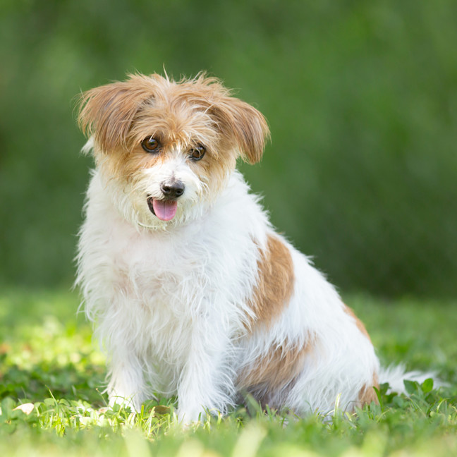 Photo of Heidi