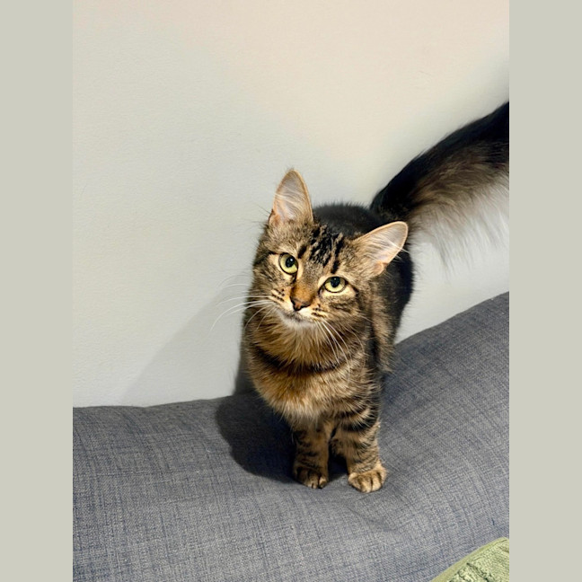 Photo of Cora