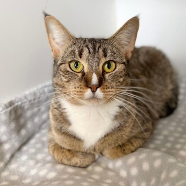 Photo of Cleopatra