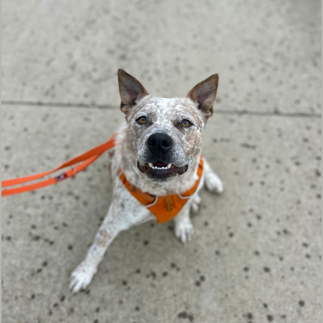 Photo of Bruce