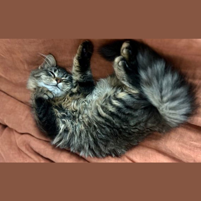 Photo of Bernadette