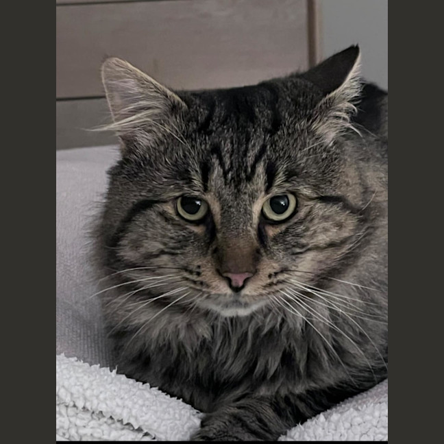 Photo of Sebastian 