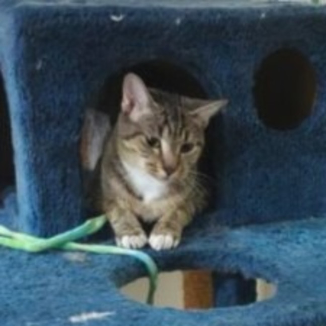 Photo of Sally