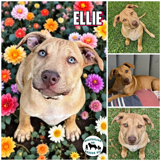 Photo of Ellie
