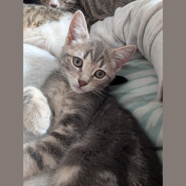 Photo of Maya Scotty