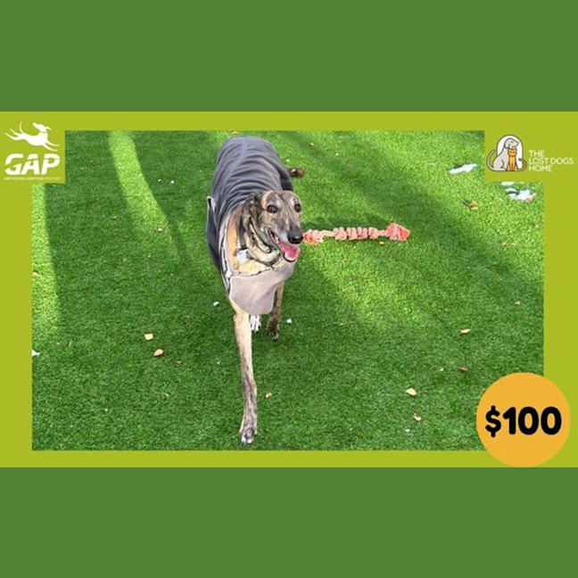 Photo of Bingo