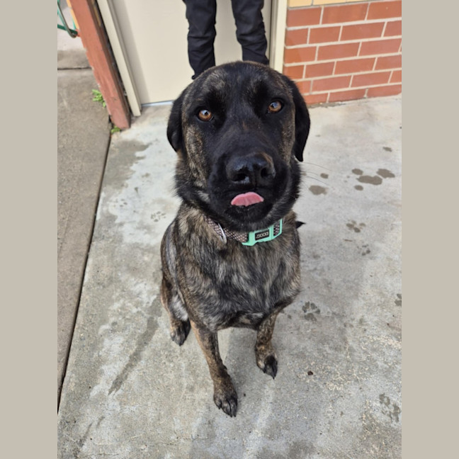 Photo of Whisky 🥃