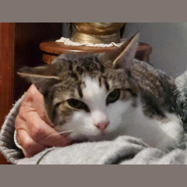 Photo of Tilly
