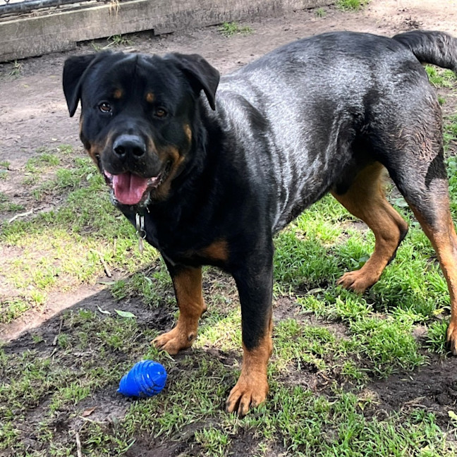 Photo of Axel