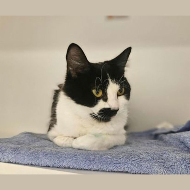 Photo of Chilled Out Cherry