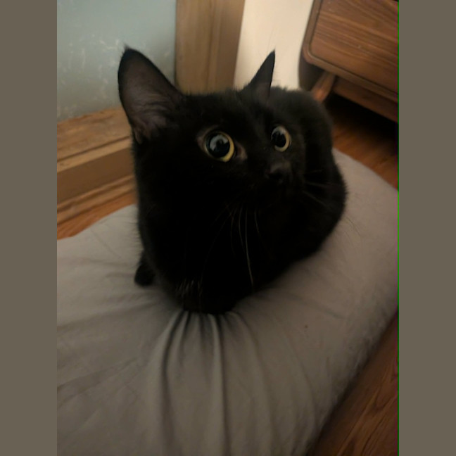 Photo of Ms Milo