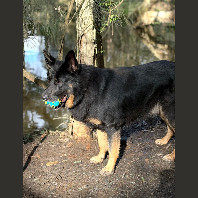 Photo of Max