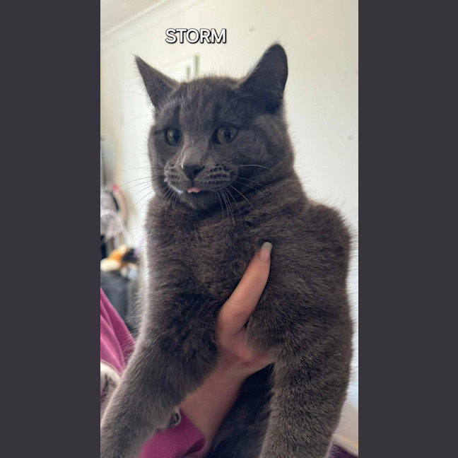 Photo of Storm