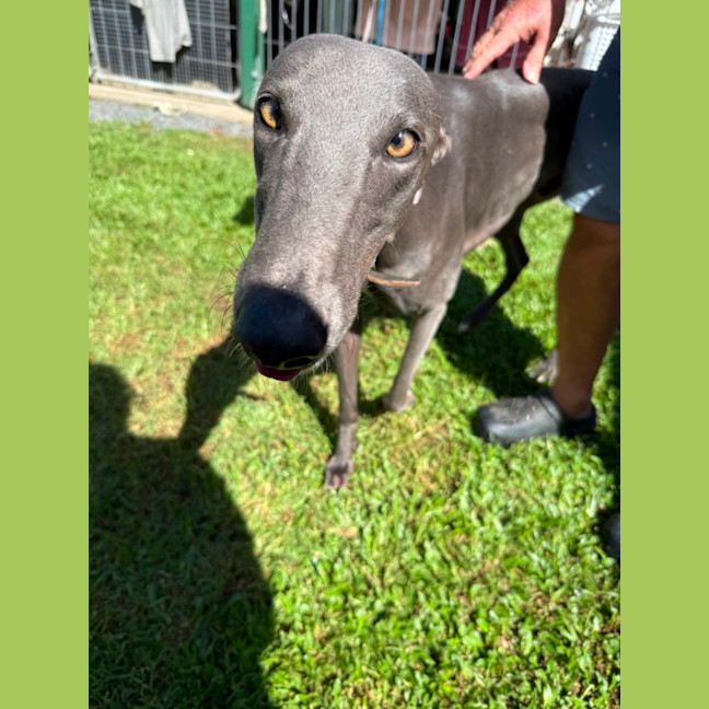Photo of Wally