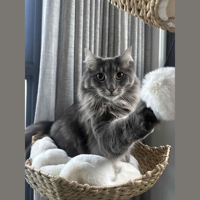 Photo of Charlie