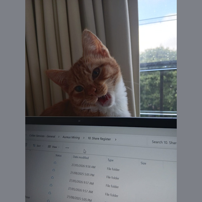 Photo of Snickers