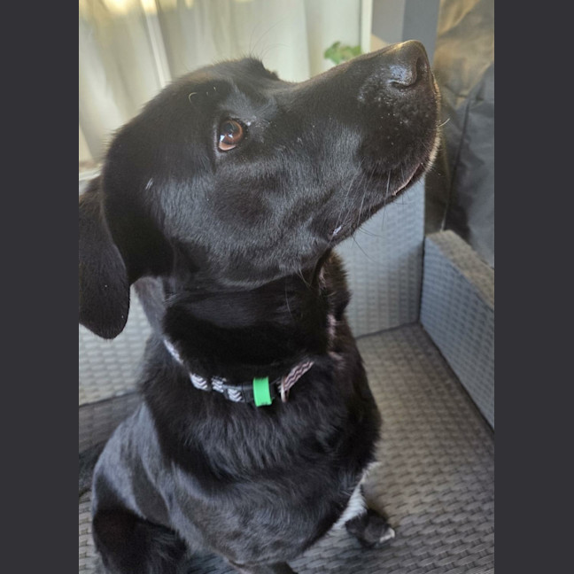 Photo of Max