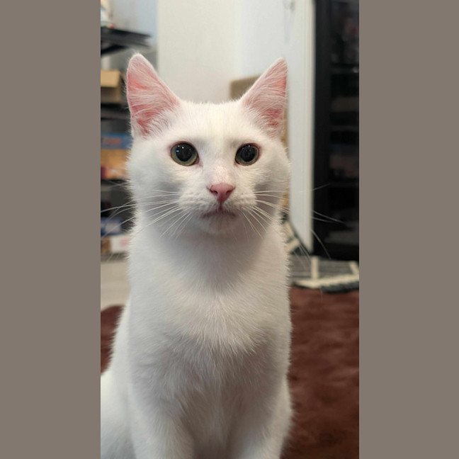 Photo of Twix