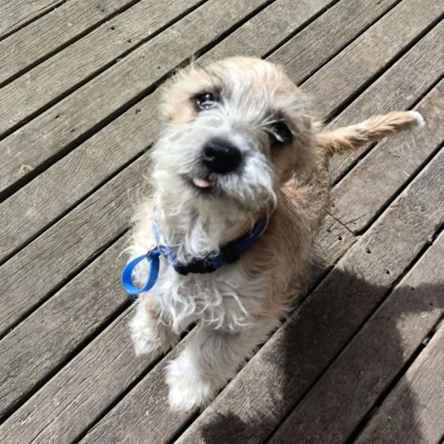 Photo of Troy 