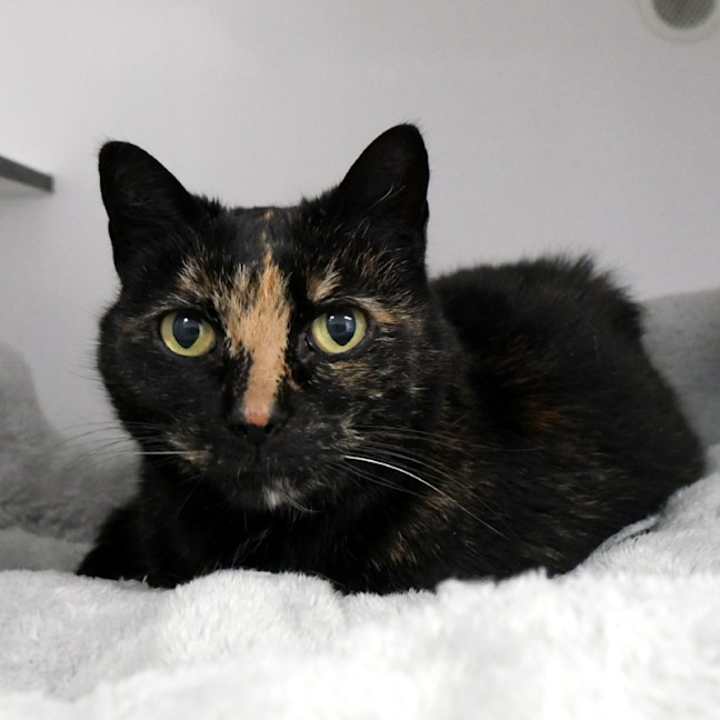 Photo of Juliet Sua014606
