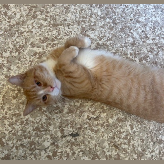 Photo of Tom