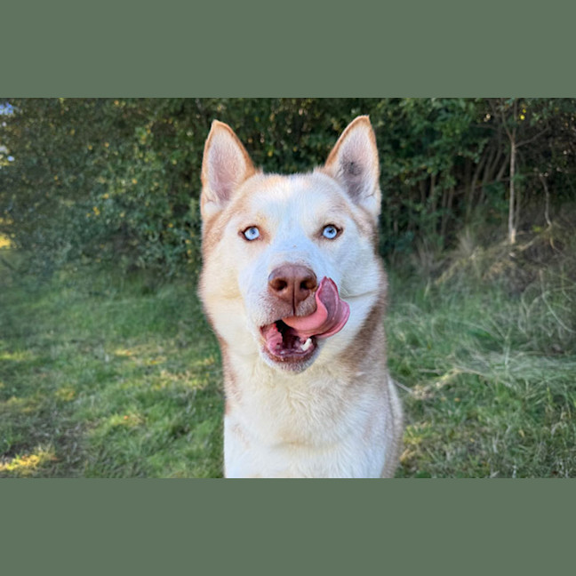 Photo of Chase