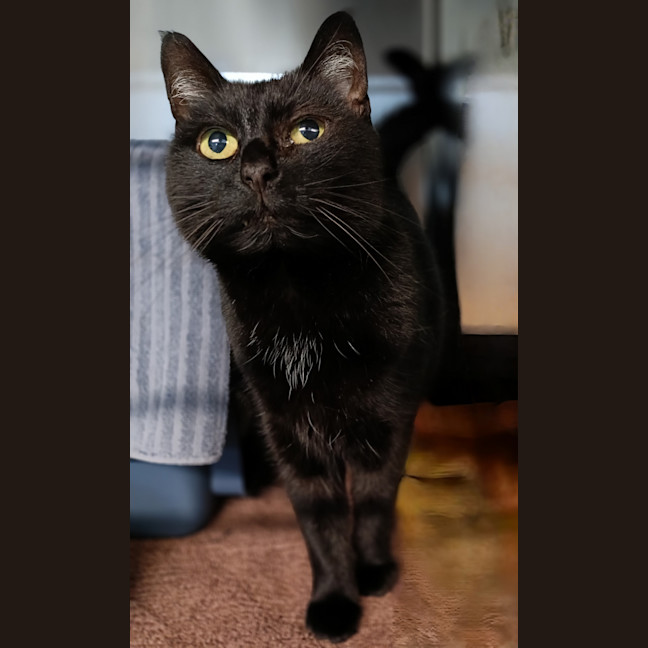 Photo of Maisey Now Macey