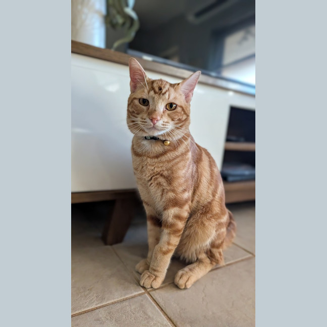 Photo of Popeye