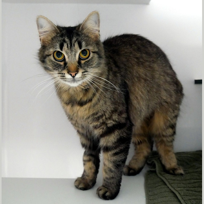 Photo of Tiggy Sua015607