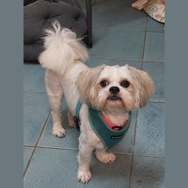 Photo of Beautiful Frieda