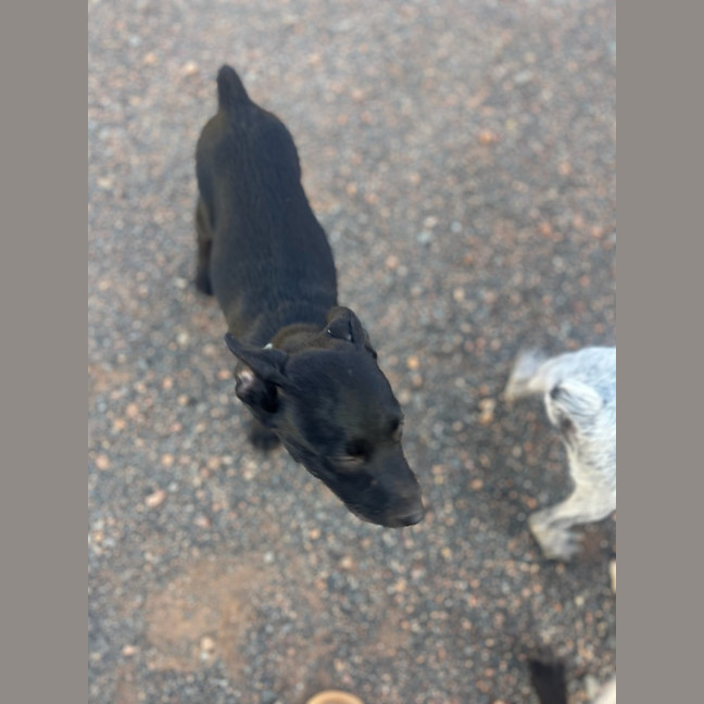 Photo of Felice (Astrid)