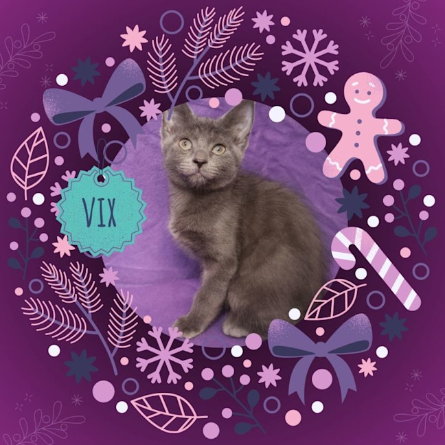 Photo of Vix