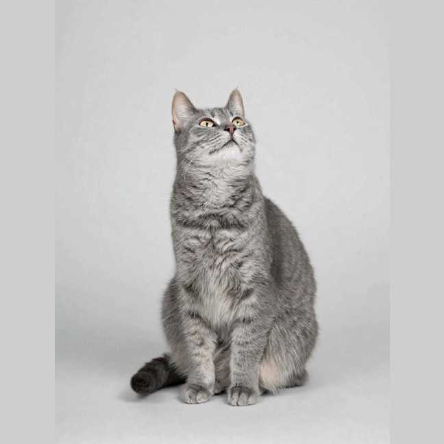 Photo of Tammy