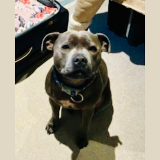 Photo of Freddy