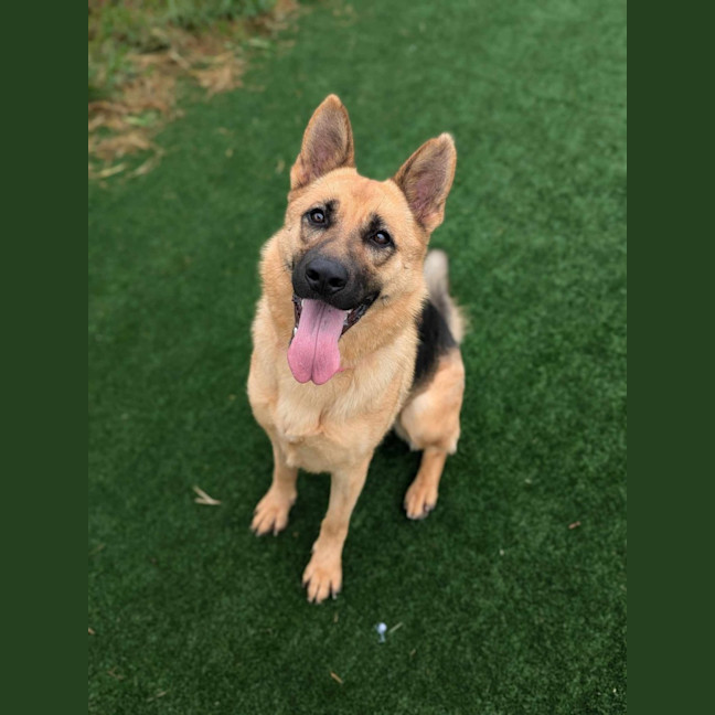 Photo of Gabrielle Imp 2805