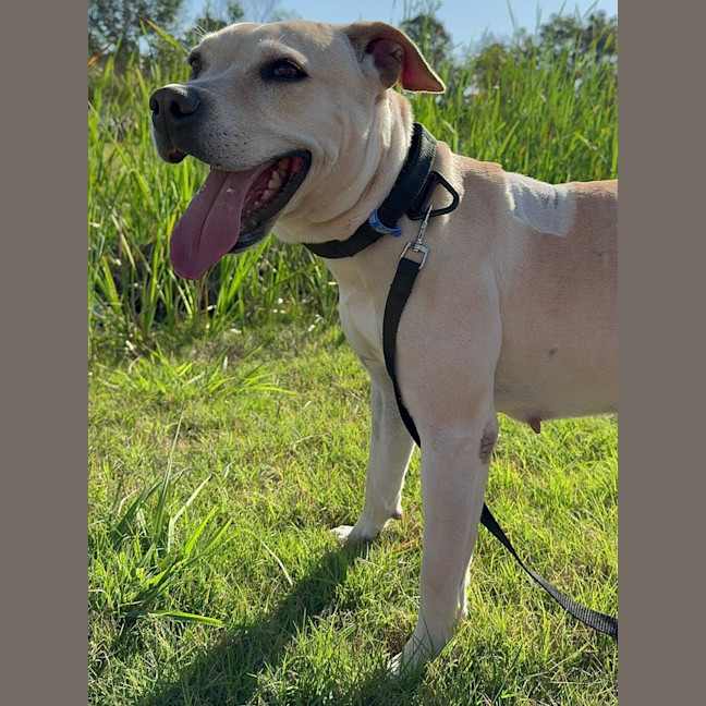 Photo of Lucy