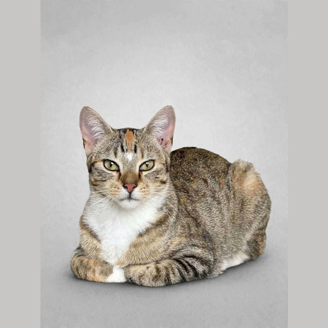 Photo of Chloe