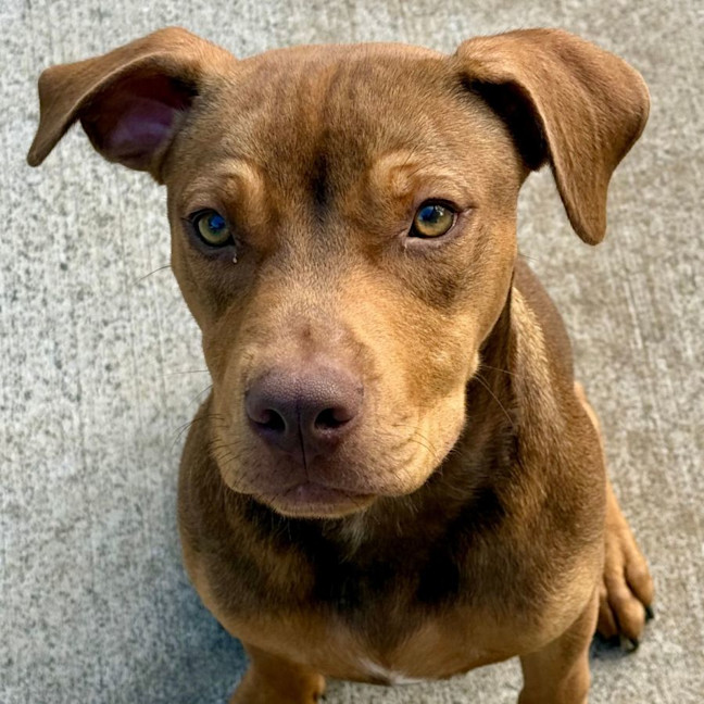 Photo of Tucker