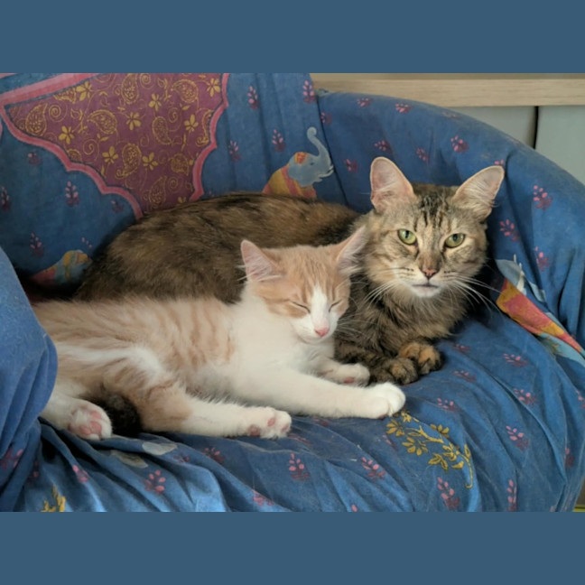 Photo of Queenie♥️