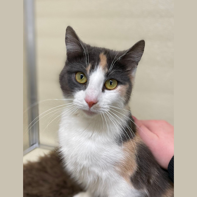 Photo of 🎠 Claire 5501 🎠