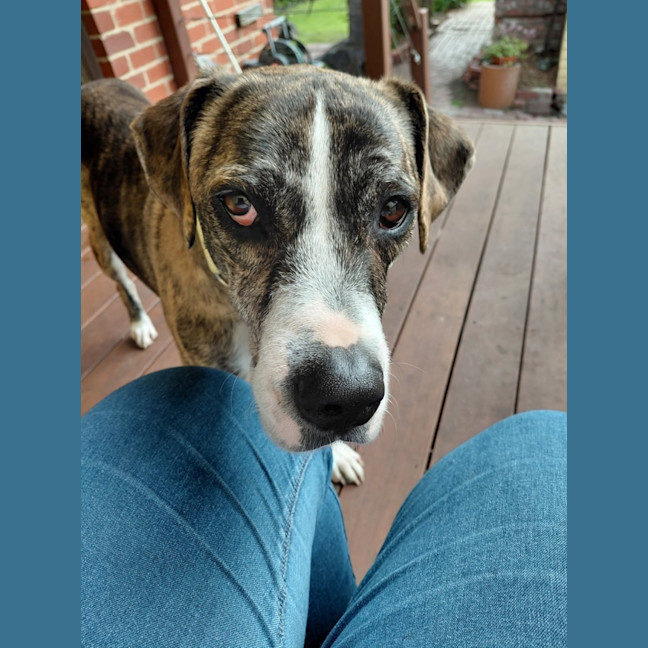 Photo of Duke