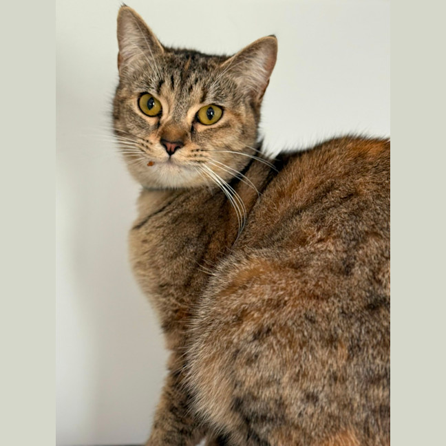 Photo of Sally Field (9004)